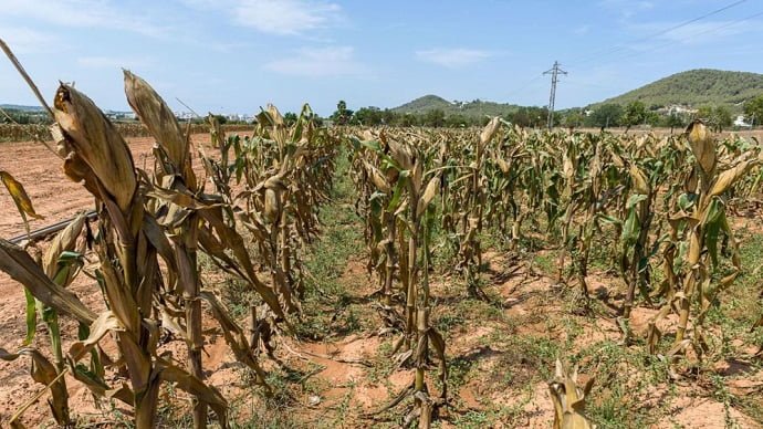 Identificó CONAGUA en Veracruz 7 municipios con sequía
