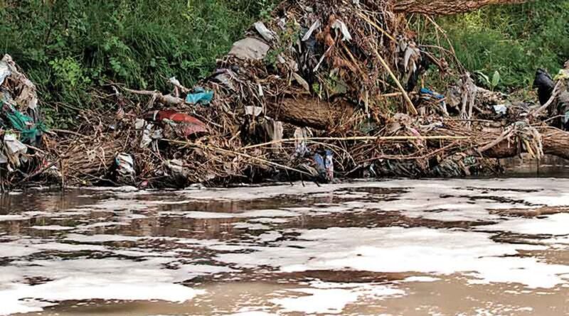 Contaminación de ingenios al río Atoyac acabó con flora y fauna