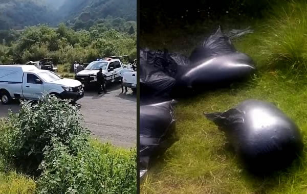Hallan 8 cuerpos desmembrados en bolsas sobre la autopista Córdoba - Puebla