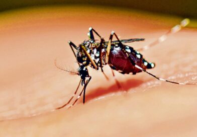 Revelan zonas con más casos de Dengue en Veracruz y la región