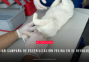 Inician campaña de esterilización felina en el Revolución