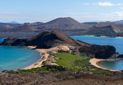 Científico mexicano investigará el impacto a las especies en las islas Galápagos por los equipos de pesca industrial abandonados