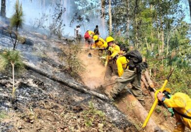 Incendios forestales en Veracruz han consumido más de 2 mil hectáreas en cuatro días