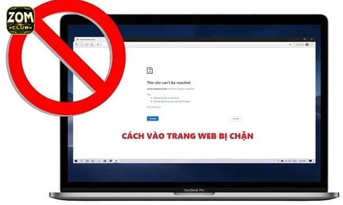 Tầm quan trọng của link vào Zomclub chính thống 